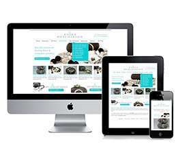 Responsive Web Design - Theoria Web Tasarım